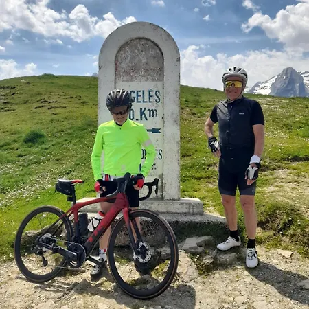 L'angelique Fleurs Des Pyrenees