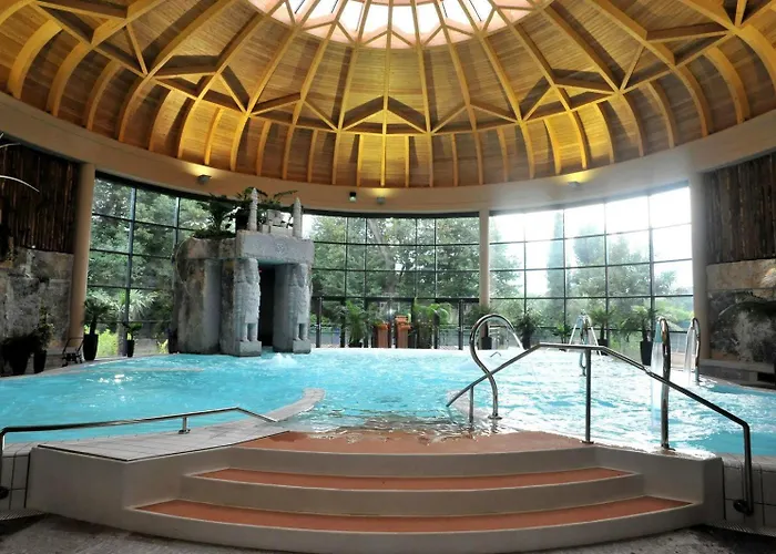 L'angelique Fleurs Des Pyrenees *