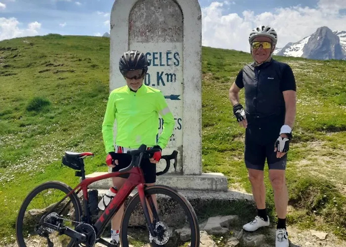 L'angelique Fleurs Des Pyrenees